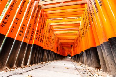 Kyoto, Japonya - 27 Aralık 2009: Fushimi Inari Taisha Tapınağı 'ndaki turuncu ahşap torii tüneli.