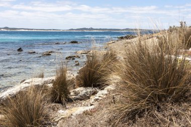 Kanguru Adası kıyıları, Güney Avustralya, Kanguru Adası.
