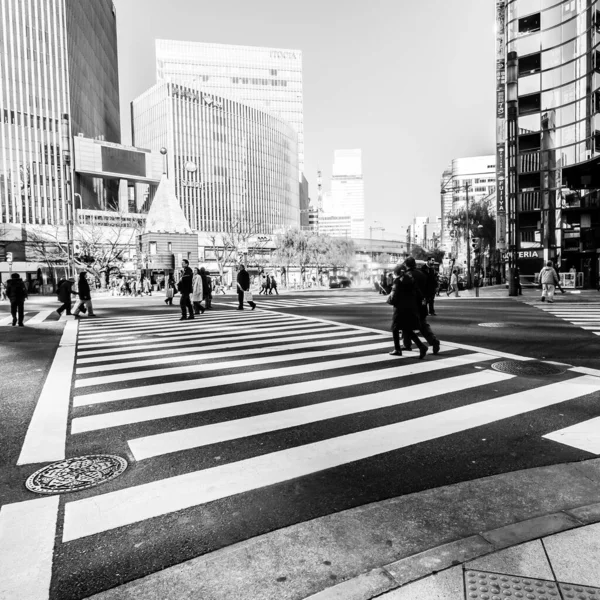 Tokió Japán Január 2010 Gyalogosok Átkelés Utcán Szívében Ginza Kerület — Stock Fotó