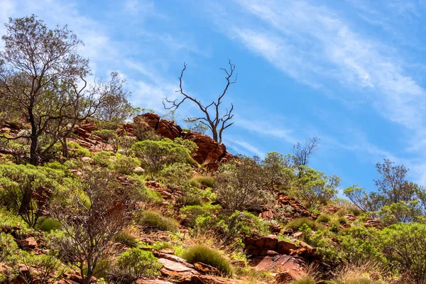 Kings Canyon Northern Territory Watarrka Nationalpark Australien — Stockfoto