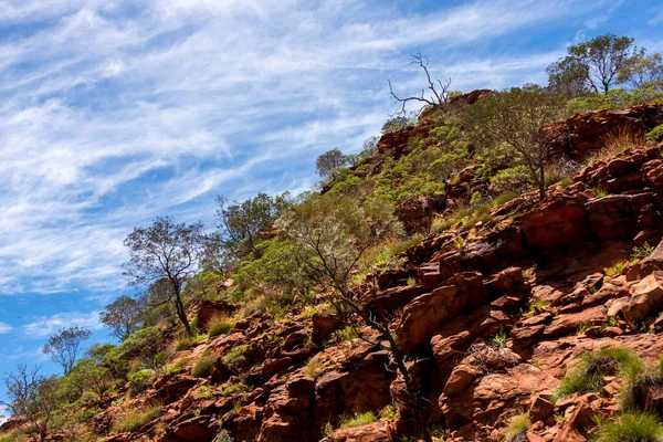 Wüstenlandschaft Kings Canyon Watarrka Nationalpark Northern Territory Australien — Stockfoto
