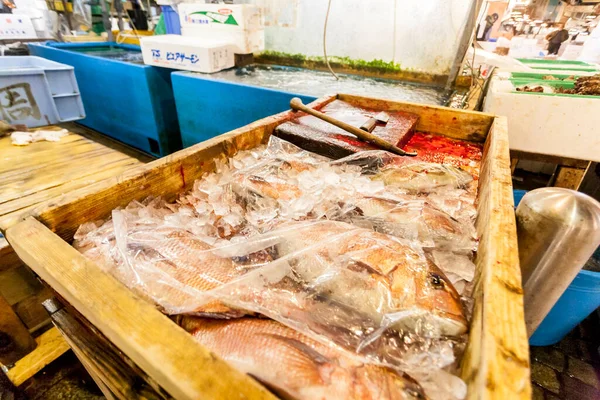 Tokyo Japan January 2010 Early Morning Tsukiji Fish Market Box — Stock Photo, Image