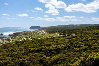Güneşli bir günde güzel kıyı şeridi, Güney Avustralya, Kanguru Adası.