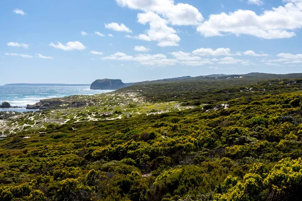 Güneşli bir günde güzel kıyı şeridi, Güney Avustralya, Kanguru Adası.