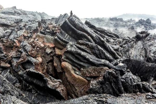 Erupção Vulcão Tolbachik Tubos Lava Maciça Península Kamchatka Rússia — Fotografia de Stock