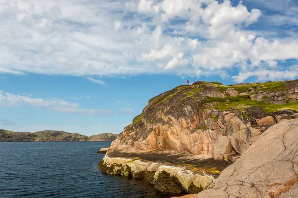 Stenen Kustlijn Van Barentszzee Rotsen Bedekt Met Mos Korstmos Noordelijke — Stockfoto