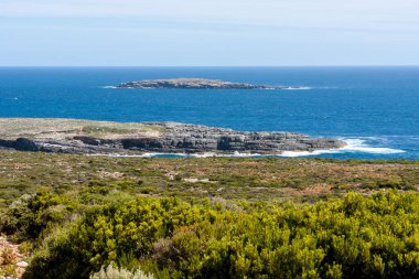 Güney Avustralya, Kanguru Adası 'nın Rocky Sahili. Güzel sahil