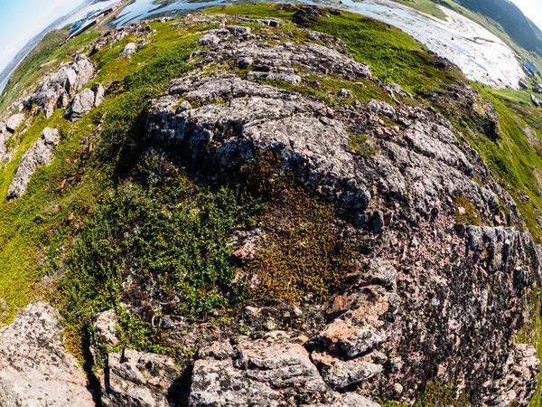 Jasně Zelený Mech Lišejník Kameni Tundře Rybí Oko — Stock fotografie