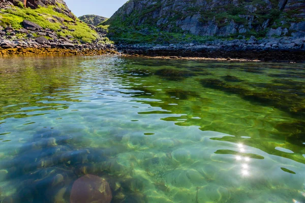 Barents Sea Northern Polar Summer Arctic Ocean Kola Peninsula Rússia — Fotografia de Stock