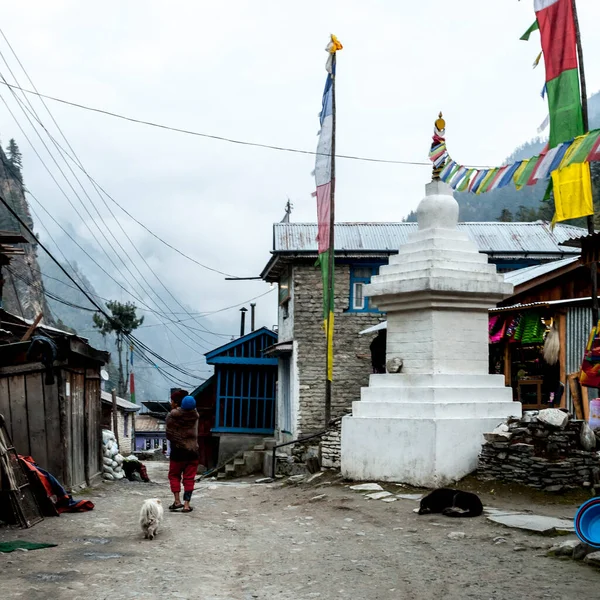 Chame Nepál 2015 November Himalája Nepálban Fekvő Hegyi Faluban Utcán — Stock Fotó