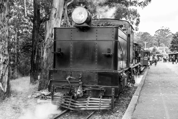 Melbourne Australia Enero 2009 Puffing Billy Steam Train Station Ferrocarril — Foto de Stock