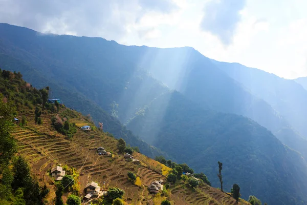 Şafak Vakti Asya Dağ Köyü Teras Tarlaları Nepal Himalaya Annapurna — Stok fotoğraf