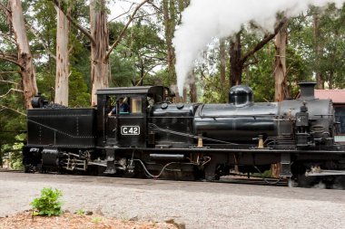 Melbourne, Avustralya - 7 Ocak 2009: Puffing Billy buhar treni. Melbourne yakınlarındaki Dandenong Sıradağları 'ndaki tarihi dar tren yolu..