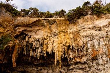 Loch Ard Gorge Gölü. Büyük Okyanus Yolu 'ndaki büyük kireçtaşı mağarası. Victoria, Avustralya.