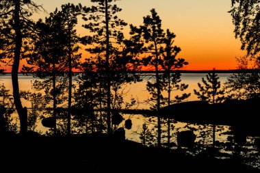 Günbatımında Çam Ormanı, Karelia, Rusya