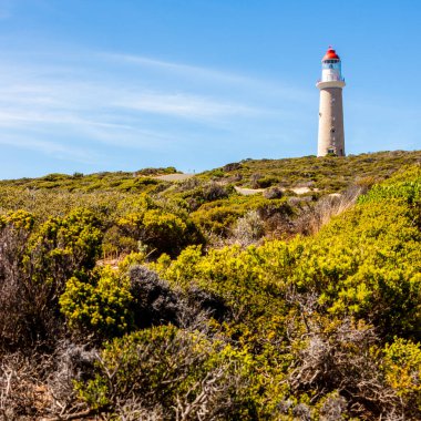 Flinders Chase Ulusal Parkı, Avustralya, Kanguru Adası 'ndaki Cape du Couedic Deniz Feneri İstasyonu