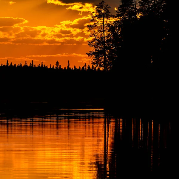 Закат Озере Темный Сосновый Лес Спокойной Воде — стоковое фото