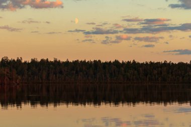 Gölün yakınındaki karanlık ormanın üzerindeki ay. Mistik fantastik muhteşem görüntü.