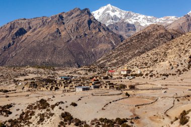 Sonbaharda Asya 'nın Yukarı Pisang köyü, Nepal, Himalaya, Annapurna Koruma Alanı