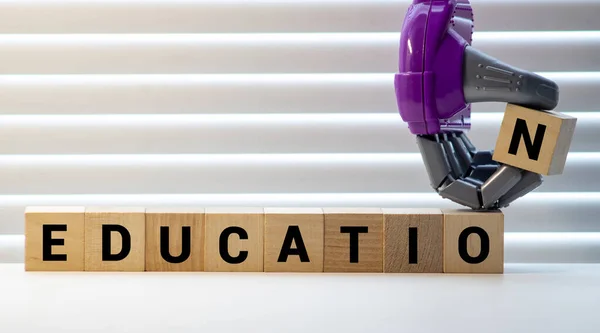 教育-文字を持つ木製のブロックからの言葉,サボテンと白の背景に教育の概念. — ストック写真