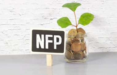 Kalemlerin, saatin, para banknotunun ve NFP metniyle yazılmış defterin seçici odak noktası çiftliksiz maaş bordroları. İş konsepti