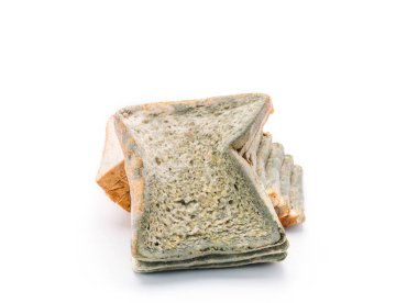 Küflü ekmek beyaz arkaplanda izole.