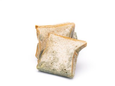 Küflü ekmek beyaz arkaplanda izole.