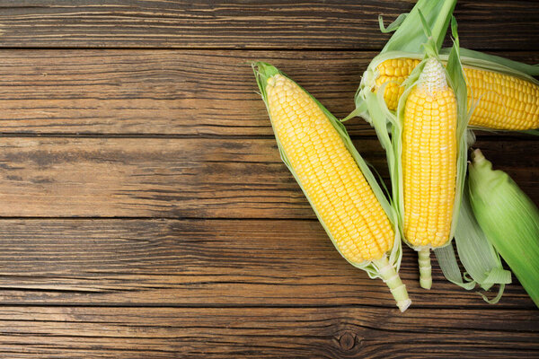 Fresh corn on the cob on a rustic wooden table with copy space - top view