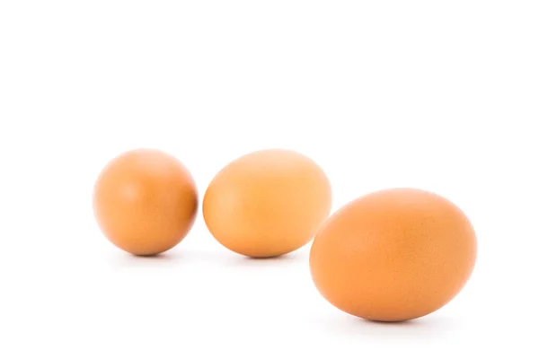 Taze Tavuk Yumurtaları Organik Yiyecekler Yüksek Proteinli Beyaz Arka Planda — Stok fotoğraf
