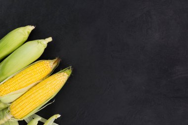 Fotokopi alanı olan siyah ahşap bir masanın üzerinde taze mısır.