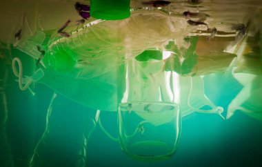 Okyanuslardaki, denizlerdeki, plajlardaki, nehirlerdeki, plastiklerdeki, şişelerdeki, maskelerdeki ve kirlilikteki atıklar balıklara ve su hayvanlarına zarar veriyor..