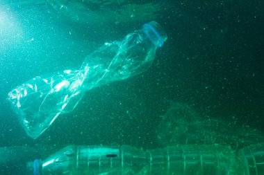 Okyanuslardaki, denizlerdeki, plajlardaki, nehirlerdeki, plastiklerdeki, şişelerdeki, maskelerdeki ve kirlilikteki atıklar balıklara ve su hayvanlarına zarar veriyor..