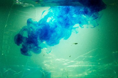 Kimyasalların çevresel kirliliği ve okyanuslardaki, denizlerdeki, plajlardaki ve nehirlerdeki çöpler. Plastik, şişe, maske ve kir balık ekosistemine ve su yaşamına zarar veriyor.