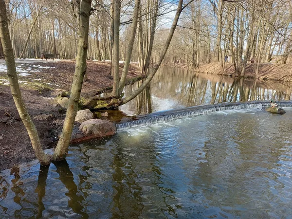 Весной река затопила берега деревьями. высокая вода — стоковое фото