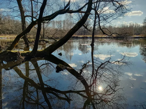 El río inundó las orillas con árboles en primavera. agua alta — Foto de Stock