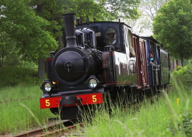 Mariefred, İsveç - 4 Haziran 2022: Ostra Sodermanlands Demiryolu Müzesi 'ndeki Vintage Narriw ölçü treni.