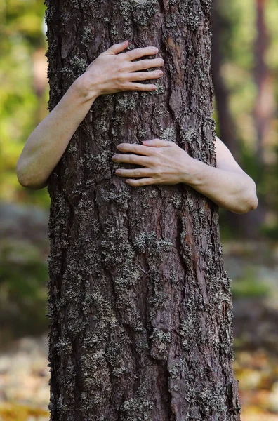 Close-up view of hands  hugging a tree in the forest.