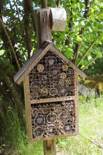 Insect hotel habitate for preservation of insects.