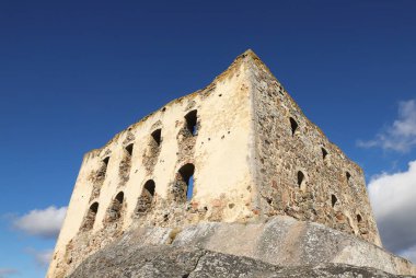 İsveç 'in Smaland ilinde yer alan Brahehus şatosunun alçak açılı manzarası.