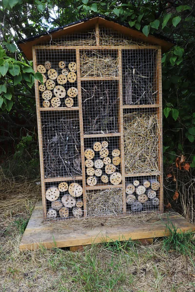 One Insect Hotel Located Urban Park — Stock Photo, Image