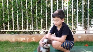 8 yaşında bir çocuk eğiliyor ve shih tzu 'sunu okşuyor..