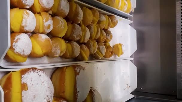 Mehrere Brasilianische Sahne Donuts Einer Brasilianischen Bäckerei Vitrine Side Tracking — Stockvideo