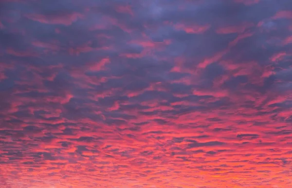 Небо Закате Атмосферное Розовое Фиолетовое Вечернее Небо Абстрактный Естественный Фон — стоковое фото