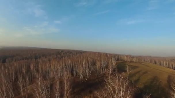 阳光明媚的日子里 快速的极端秋天风景场景 从飞驰的无人驾驶飞机空中看秋天的森林 — 图库视频影像