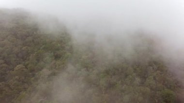 Sisli sis tropikal ormanı silip süpürüyor. Sisli bir günde dağın tepelerinde ormanın üzerinde uçan bir dron. Tropikal doğada sabah sisinin hava görüntüleri..