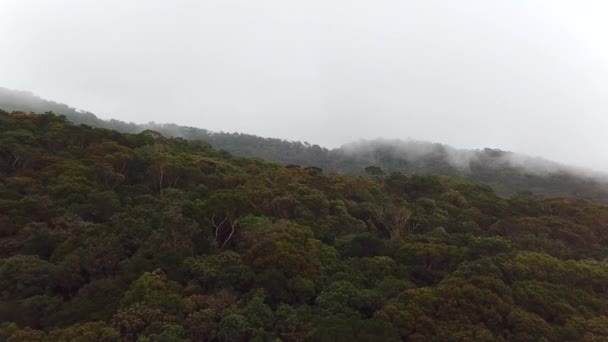 Misty Fog Blowing Tropical Forest Drone Flying Forest Mountain Hills — Vídeos de Stock