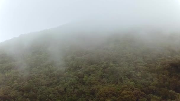 Misty Fog Blowing Tropical Forest Drone Flying Forest Mountain Hills — Video Stock