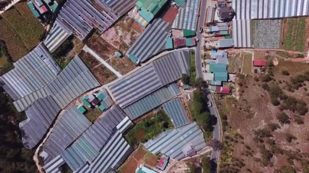 Aerial Top View Greenhouses Drone Flying Massive Vinyl Hothouses Constructions — Stockvideo