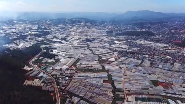 Aerial Top View Greenhouses Drone Flying Massive Vinyl Hothouses Constructions — Vídeo de Stock
