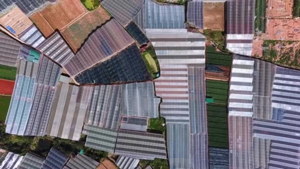 Aerial Top View Greenhouses Drone Flying Massive Vinyl Hothouses Constructions — Stockvideo